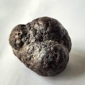 Dragon Egg Early Diagenetic Cretaceous Pyrite Nodule Concretion Mooreville Chalk